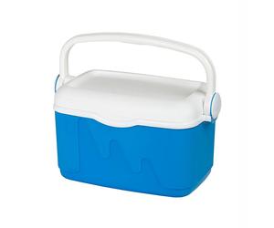 10L Portable Cool Box Ice Pack 2x 250g Handle Lid Travel Holiday Beach Cooler HQ