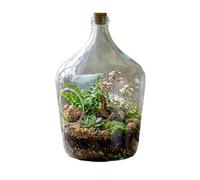 10L Recycled Glass Terrarium Bottle, Clear, with Cork Lid, Open Planter for Indoor Eco Plant Display