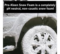 (10L Snow Foam & Lance) ProKleen Snow Foam Lavor Compatible Lance Kit