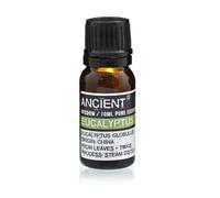 10Ml Eucalyptus Globulus Essential Oil For Respiratory & Relief
