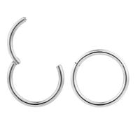 (10mm 16G) 2PCS Titanium Implant Grade Septum Jewellery Hinged Segment Ring Body Piercing Hoop Lip Rings Helix Cartilage Rook Sleeper Earrings Nickel Free Hypoallergenic