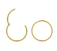 (10mm 20G) 2PCS Titanium Implant Grade Septum Jewellery Hinged Segment Ring Body Piercing Hoop Lip Rings Helix Cartilage Rook Sleeper Earrings Nickel Free Hypoallergenic