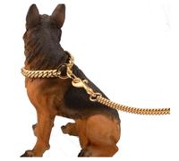 10mm Metal Dog Leash With Padded Handle For Medium Dogs And Pet Leash, Gold
