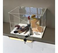 10mm Thicked Wooden Base Acrylic Storage Organizers Box, 25 35 45 Cm Protector Display Cases for Home Office Decor, Crystal-Clear Countertop Case(20X15X15cm/8X6X6in)