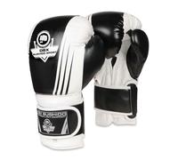 10oz Boxing Gloves - Edge - Valor Series