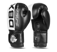 10oz Boxing Gloves - Harmony - Valor Series