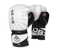 10oz Boxing Gloves - Japan - Valor Series