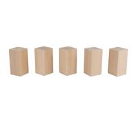 10Pack Basswood Carving Blocks Kit Blanks Beginners Unfinished Wood Block Kit(5L+5S) for Carving and Whittling