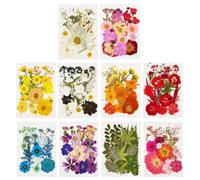 10Pack Pressed Dried Flower Kit, Vacuum Sealed Pressed Flowers Bulk, Flowers Dry Leaves Craft Kit, for Resin Scrapbooking Jewelry Making DIY and Home Décor(Style1)