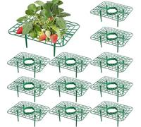 10Pack Strawberry Plant Supports,Strawberry Plants Growing Racks,Plant Cages and Supports Strawberry Stand Holder Growing Frame,Keep Berries Clean
