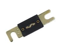 10pc Automotive fuse accessories with large flat insert gold plated 125A130A150A 180A200A 250A automotive fuse Protected circuits