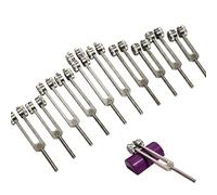 10pc Chakra Tuning Fork Set with Purple Activator - 93.96 Schumann and 68.05 Earth Star Included - Designed for Use with Boot Attachments - Sound Healing and Biofield Harmonization - P.Silver