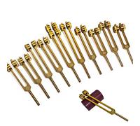 10pc Chakra Tuning Fork Set with Purple Activator - 93.96 Schumann and 68.05 Earth Star Included - Designed for Use with Boot Attachments - Sound Healing and Biofield Harmonization - P.Gold