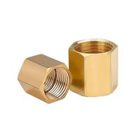 10Pcs 1/8" 1/4" 3/8" 1/2" 3/4" Female Thread Brass Pipe Fittings Hex Nut Rod Connector Coupling for Water Fuel Gas(03-04) Plumbing Fittings