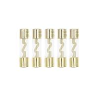 10PCS 10 * 38MM Gold Plated Glass AGU Fuse Fuses Pack Car Audio A*mp Amplifier 10A 15A 20A 25A 30A 40A 50A 60A 70A 80A 100A Accessories(60A)