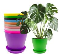 10Pcs 14cm Small Plant Flower Pots Colorful Plastic Plant Pots Indoor Flower Pots Plant Container Planters with Trays for Office House Desk, Succulent Fruit Vegetable Seedling Transplanting, 10 Colors