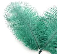 10pcs 15-20 cm Natural Ostrich Feathers,Bouquet Feathers for Crafts,Craft Feathers for DIY Dream Catcher Accessories,Home Decoration,Costumes,Wedding Party,Festival,Hats,Clothing Decoration,Dark Green