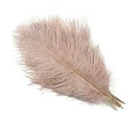 10PCS 15-60cm White Ostrich Feathers Wedding Party Table Centerpieces Accessories Plumas Decorativas Ostrich Feather DIY Crafts-Vail Pink-30-35cm