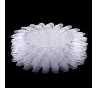 10pcs 20 Plate Acrylic UV Pedicure Polish Nail Art Color Display Chart