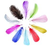 10pcs 25-30cm Fluffy Rainbow Ostrich Feathers Long Mixed Colors DIY Plume