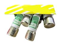 10PCS 25Amp Dual Level Fuse 250V FNM-25