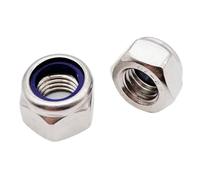 10PCS/25PCS/100PCS 304 Stainless Steel Black Hex Nylon Insert Lock Nut Self-locking Locknut(304 stainless steel,25pcs M12)