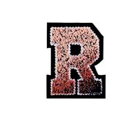 10pcs /26pcs Letters Toothbrush Embroidery English Patches for Sew On Clothing Patch Clothes Applique DIY Garment Hat Decor(ColorR)