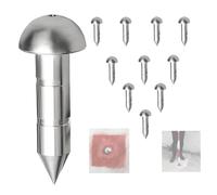 10PCS 304 Stainless Steel Survey Nails - Heat-Treated, Rustproof, 2" Lengths, Dual Groove Design, for Engineering Survey, Terrain Mapping & Asphalt Pavement (50mm)