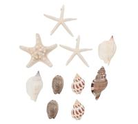 10pcs 3d Seashell Shaped Fridge Magnet for Kitchen and Office Decor | Smooth Rounded Shell Design, Assorted Ocean Style, Repositions Easily, Holds Photos and Papers Securely on Metal Random Style