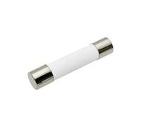 10PCS 5 * 20/6 * 30MM Slow-Blow Ceramic Tube Fuse T0.5A 1A 1.6A 2A 2. 3A 3.15A 4A 6. 8A 10A 12A 16A 20A Time-Delay Fuses(10A,5x20MM Slow-Blow T)