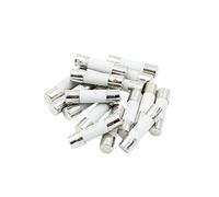 10PCS 5 * 20MM/6 * 30MM Fast Blow Ceramic Fuse 250V 2A 2.5A 3A Protected circuits (Color : 3a, Size : 6x30MM)