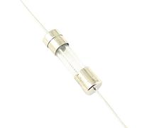 10pcs 5 x 20mm Slow Blow Glass Fuse Axial Tube T 1A 2A 3A 3.15A 4A 5A 6.3A 8A 10A 15A 250V 5mm x 20mm 5 * 20 mm Fuse Protected circuits (Size : 1A)