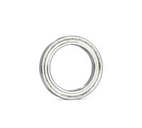 10pcs 6900ZZ ABEC-7 Thin Section Deep Groove Ball Bearing 6900RS 10x22x6mm Double Shielded(ZZ,ABEC-3)