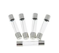 10PCS 6x30mm Fast Blow Glass Tube Fuses 0.25A 0.5A 1A 1.5A 2A 2.5A 3A 3.15A 4A 5A 6A 7A 8A 10A 15A 20A 25A 30A 250V 6 * 30mm NWPNLXEA(2A)