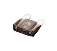 10PCS 70A Big Fuse, 32V Automotive Fuses Blade,The Fuse Insurance Insert The Insurance of Xenon lamp Piece Lights Fuse Protected circuits