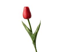 10PCS Artificial Tulips Fake Flowers, Faux Tulip Stems, Realistic Fake Tulips, Spring Mother's Day Easter Gifts, Floral Wedding Bouquet Decor Winter Arrangements/Wedding/Party/Hotel Decors (Red)