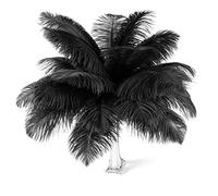 10pcs Black Ostrich Feathers for Crafting 10-12(25-30cm) Natural Bulk Feathers for Home Wedding Party Vase and Day Decoration