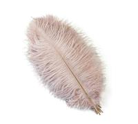 10Pcs Blue Ostrich Feather 15-55cm Natural Plumes for Wedding Party Carnival Decoration Craft Plumes Table Centpiece Accessories-Vail pink-45-50cm 18-20inch