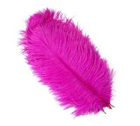 10pcs Blue Ostrich Feathers for Wedding Party Table Centerpiece Carnival Natural Ostrich Plume 35-40cm Vases Home Craft Decor-15 Rose red-35-40cm 10Pcs
