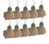 10Pcs Car Air Fresheners Hanging Scented Cards, Funny Cars Hangings Aroma Tablet, Rearview Mirror Hangings Decorations, Sexy Cars Air Freshener, Wardrobe Air Fresheners for Home & Car (A, One Size)