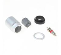 10Pcs Car Tire Pressure Sensor TPMS Valve Stem Schrader Complete