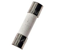 10PCS Ceramic fuses T1.6AH250V Slow Blow 5x20mm/0.197"x0.787" 1.6AMP 250V (T1.6A)