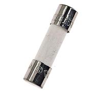 10PCS Ceramic fuses T3.15AH250V Slow-Blow 5x20mm/0.197"x0.787" 3.15AMP 250V (T3.15A)