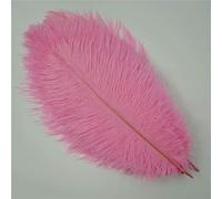 10Pcs Colorful Ostrich Feather Handicraft Accessories Dream Catcher Decoration Jewelry Creation Natural Plume Table Centerpieces-Pink-25-30cm 10-12inch