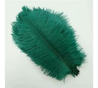 10Pcs Colorful Ostrich Feather Handicraft Accessories Dream Catcher Decoration Jewelry Creation Natural Plume Table Centerpieces-Dark green-20-25cm 8-10inch