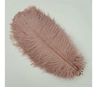 10Pcs Colorful Ostrich Feather Handicraft Accessories Dream Catcher Decoration Jewelry Creation Natural Plume Table Centerpieces-Leather pink-25-30cm 10-12inch