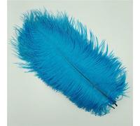 10Pcs Colorful Ostrich Feather Handicraft Accessories Dream Catcher Decoration Jewelry Creation Natural Plume Table Centerpieces-Lake blue-30-35cm 12-14inch