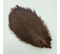 10Pcs Colorful Ostrich Feather Handicraft Accessories Dream Catcher Decoration Jewelry Creation Natural Plume Table Centerpieces-Dark brown-20-25cm 8-10inch