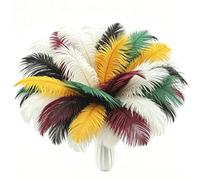 10pcs Colorful Ostrich Feathers for Crafting 10-12(25-30cm) Natural Bulk Feathers for Home Wedding Party Vase and Day Decoration