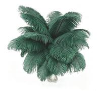 10pcs Dark Green Ostrich Feathers for Crafting 10-12(25-30cm) Natural Bulk Feathers for Home Wedding Party Vase and Day Decoration